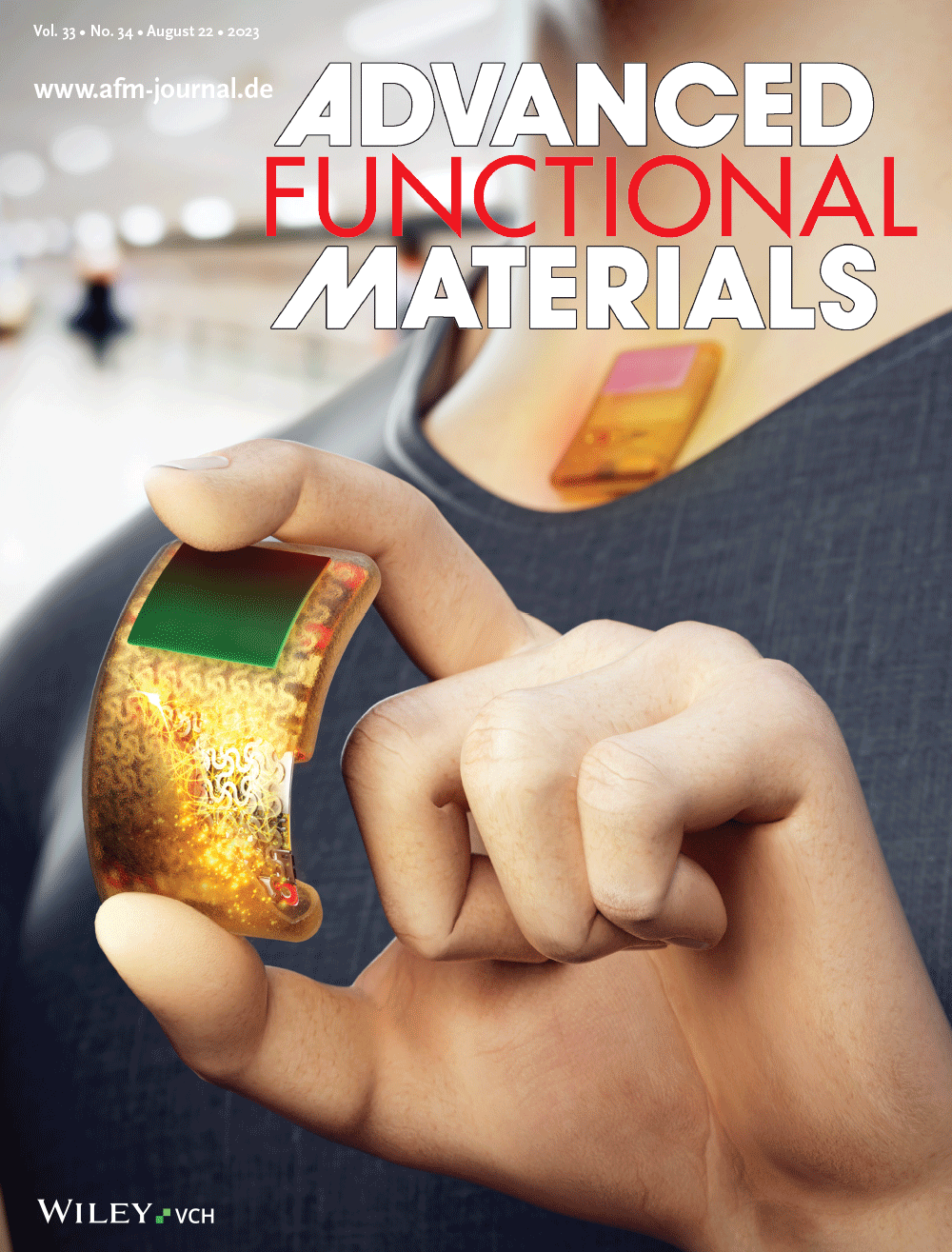 Advanced Functional Materials Cover (2023)