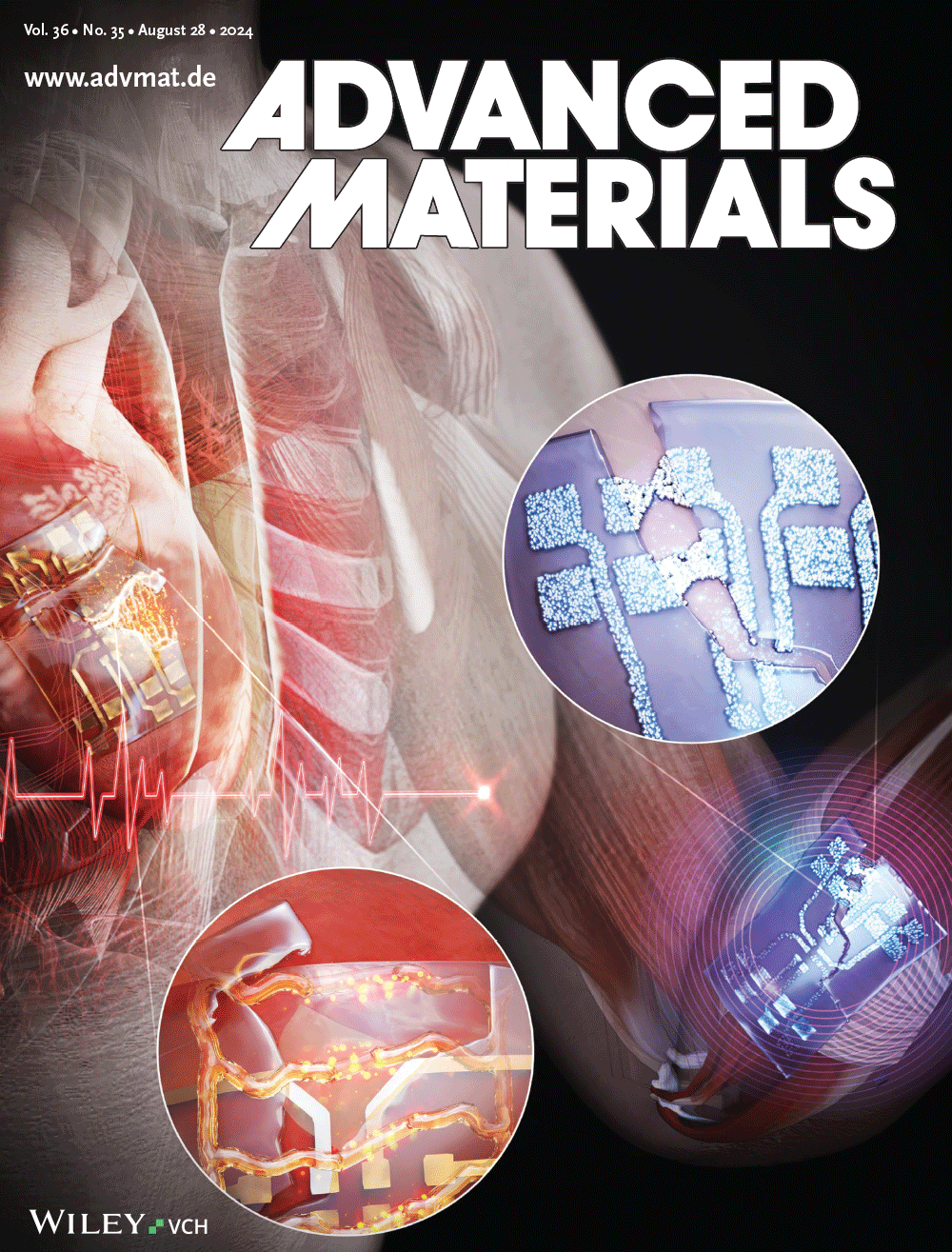 Advanced Materials Cover (2024)